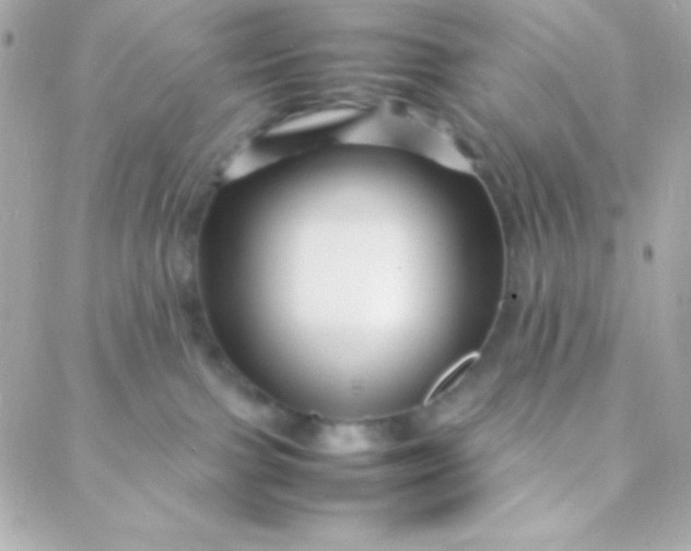 X0000088130091200705291343