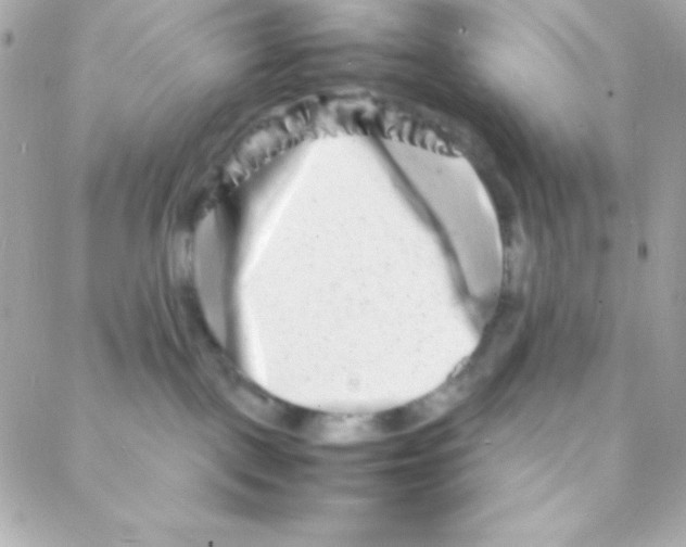 X0000088130093200705291344