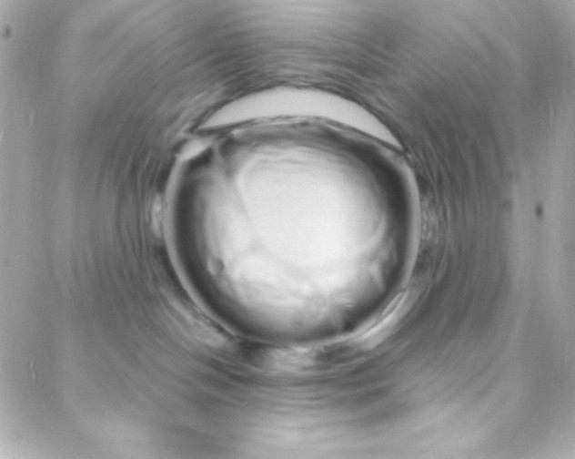 X0000088130094200705291344