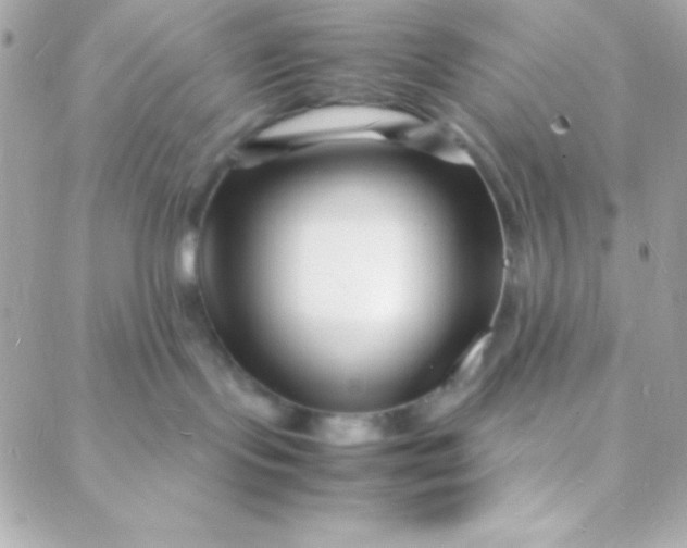 X0000088130095200705291344