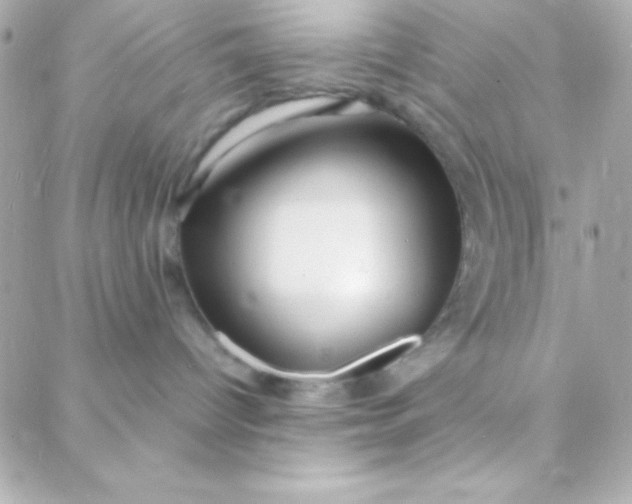 X0000088130096200705291344