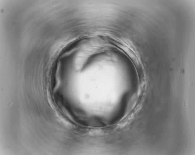 X0000088130097200705291343