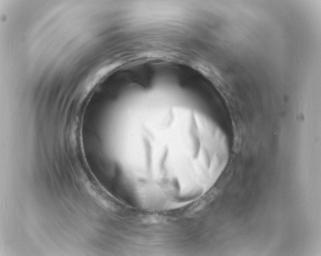 X0000088130098200705291343