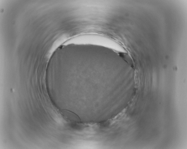 X0000088130099200705291343