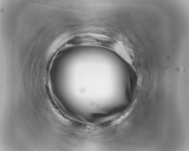 X0000088130101200705291343