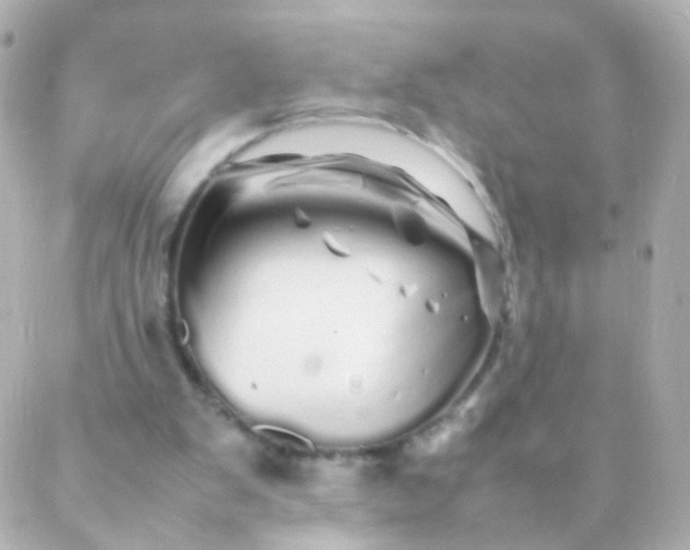 X0000088130103200705291343