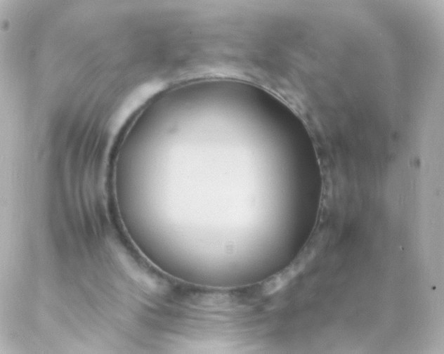 X0000088130104200705291343