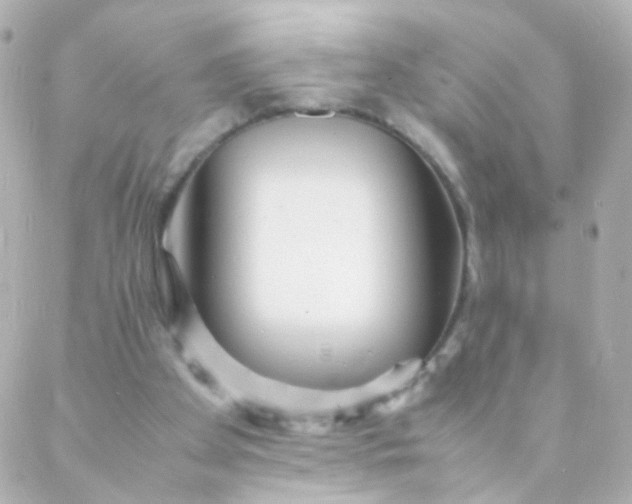 X0000088130105200705291343