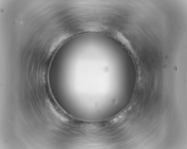 X0000088130106200705291343