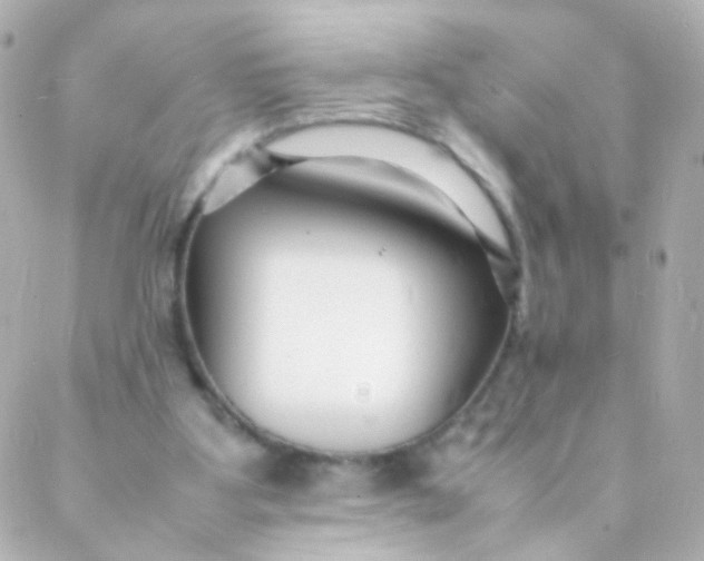 X0000088130107200705291343