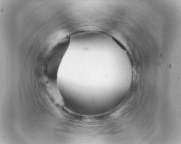 X0000088130109200705291343