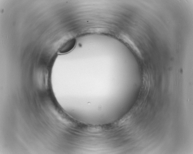 X0000088130110200705291343