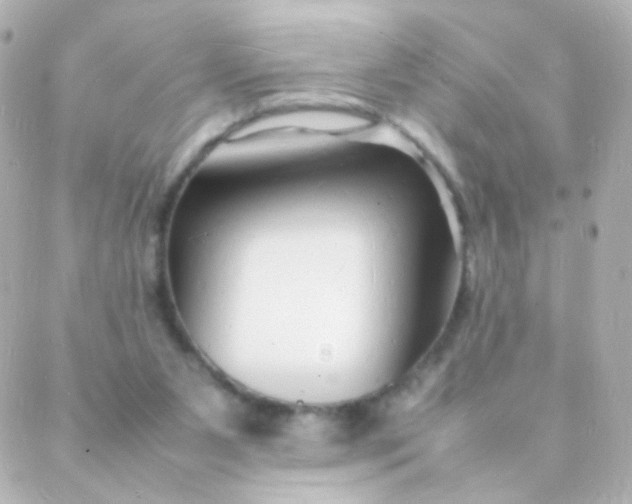 X0000088130111200705291343