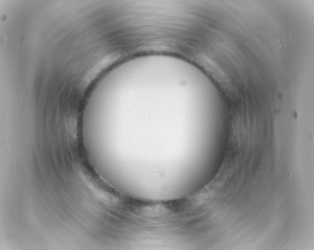 X0000088130112200705291343