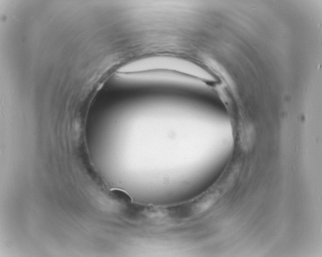 X0000088130113200705291343