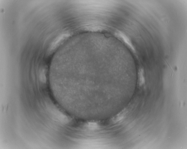 X0000088130114200705291343