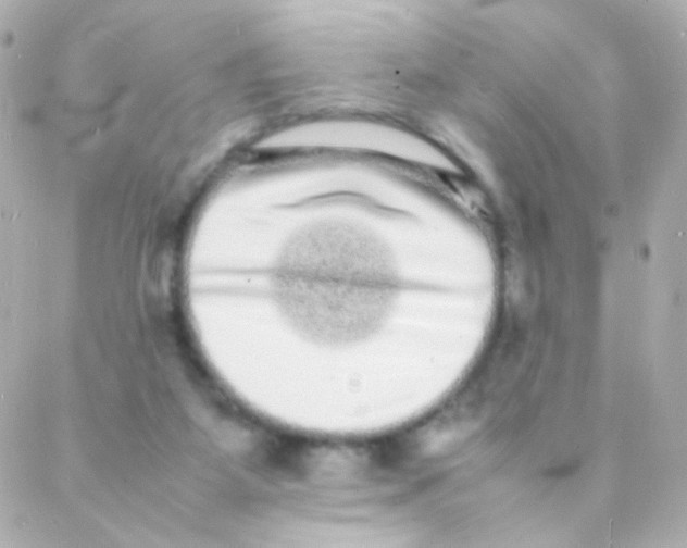 X0000088130115200705291343