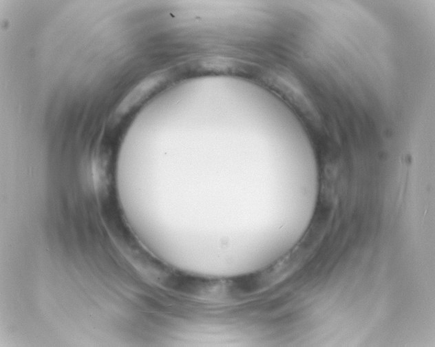 X0000088130116200705291342