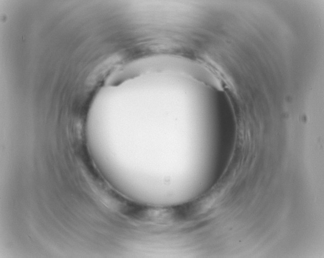 X0000088130117200705291342