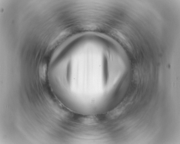 X0000088130118200705291342