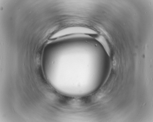 X0000088130119200705291342