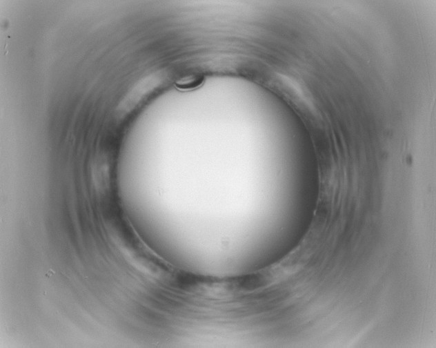 X0000088130120200705291342