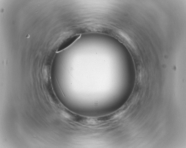 X0000088130121200705291342