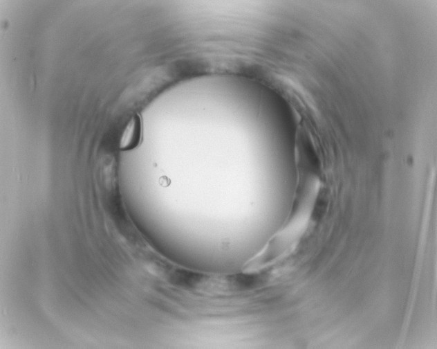 X0000088130123200705291342