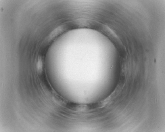 X0000088130124200705291342