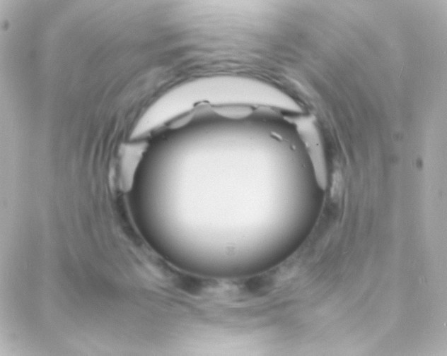 X0000088130125200705291342