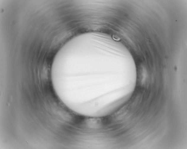 X0000088130126200705291342