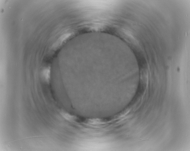 X0000088130127200705291342