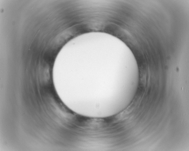 X0000088130128200705291342