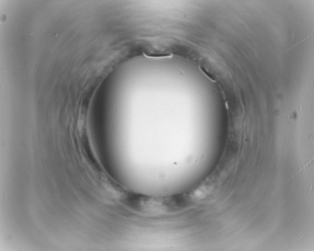 X0000088130129200705291342