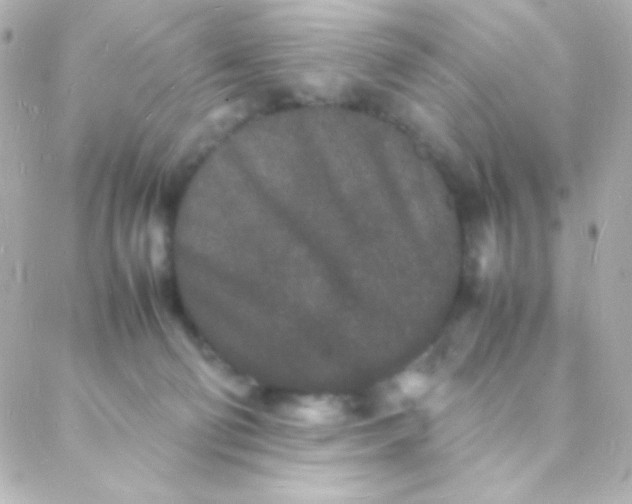 X0000088130130200705291342