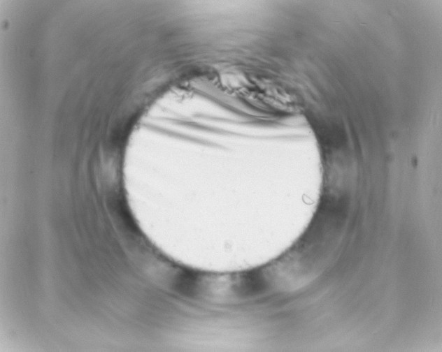 X0000088130131200705291342