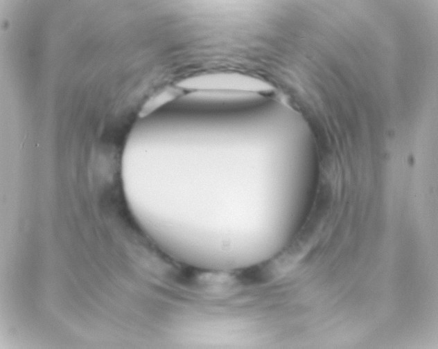 X0000088130133200705291342