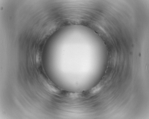 X0000088130134200705291342