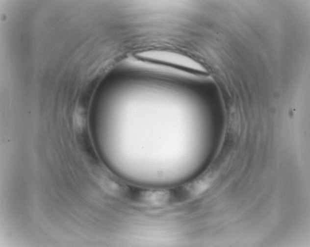 X0000088130135200705291342