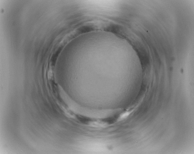 X0000088130137200705291342