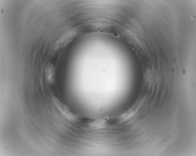 X0000088130138200705291342