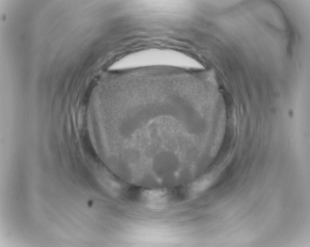 X0000088130139200705291342