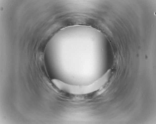 X0000088130141200705291342