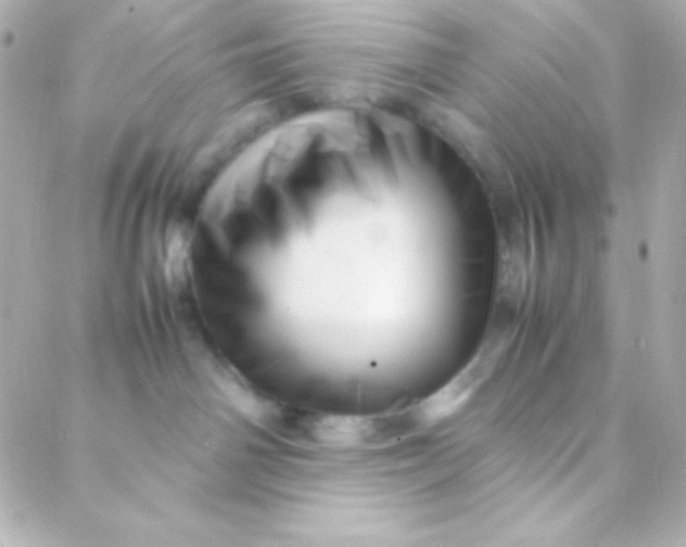 X0000088130142200705291342