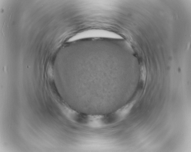 X0000088130143200705291342