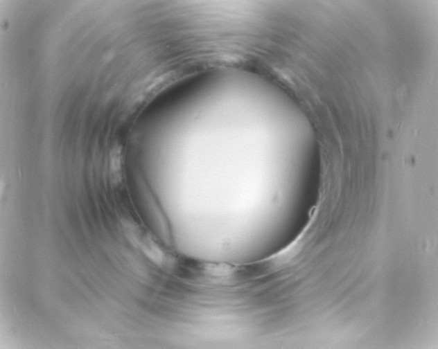 X0000088130144200705291342