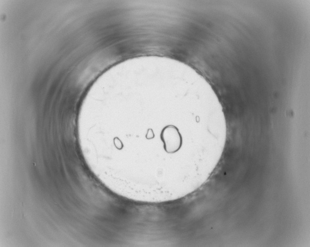 X0000088130146200705291341