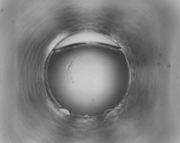 X0000088130147200705291341