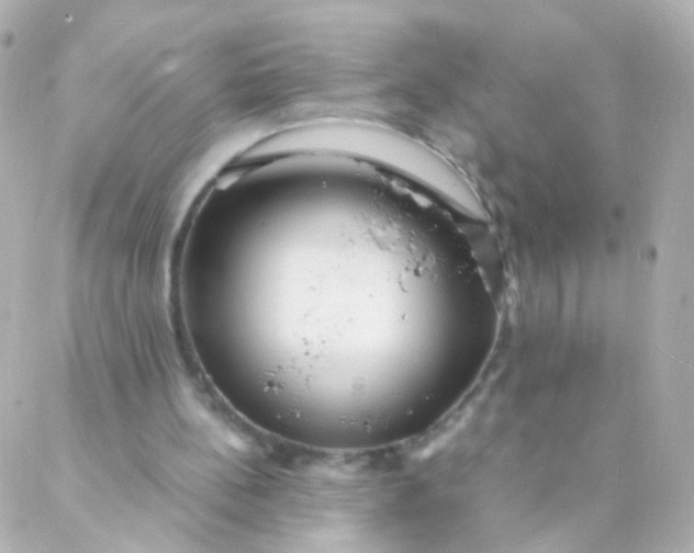 X0000088130148200705291341