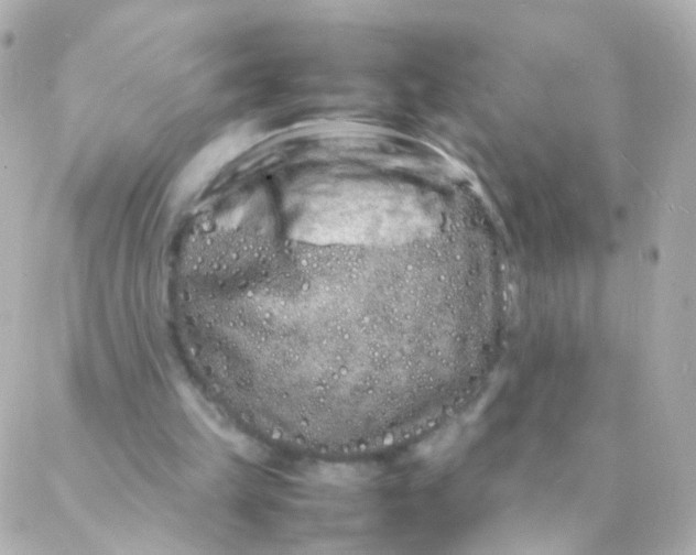 X0000088130149200705291341